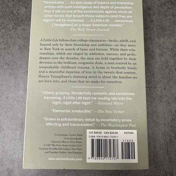 A Little Life by Hanya Yanagihara Book - Picture 3 of 3
